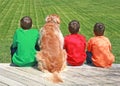 Three Boys and a Dog Royalty Free Stock Photo