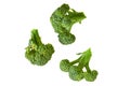 Three branches of fresh green broccoli isolated on white background without shadow Royalty Free Stock Photo