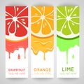 Three bright banner with stylized citrus fruit and splashes