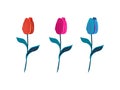 Three bright cartoon vector tulips, tulip flowers isolated on white background, tulips vector set, tulips color teaser Royalty Free Stock Photo