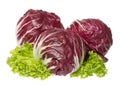 Three bright Radicchio with green salads.