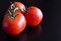 Three bright red fresh tomatoes on a green twig Royalty Free Stock Photo