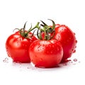 Three bright and ripe colored tomatoes with water dripping around them on a white background