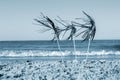 Three bright shiny colored cocktail decorations on stick stand in sand near sea Royalty Free Stock Photo