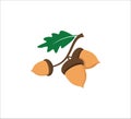 three brown acorn nut oak tree on the branch vector logo design symbol of fertility Royalty Free Stock Photo