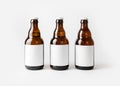 Three beer bottles Royalty Free Stock Photo