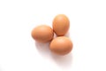 Three brown eggs isolated on the white background. Royalty Free Stock Photo