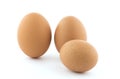 Three brown chicken eggs. Royalty Free Stock Photo