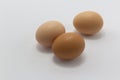 three brown chicken eggs on white background, free range egg copy space horizontal, organic food Royalty Free Stock Photo