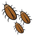 Three brown cockroaches vector illustration Royalty Free Stock Photo