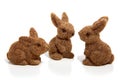 Three brown easter bunnies