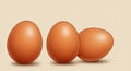 Three brown eggs are arranged on a light beige background. The eggs have a Royalty Free Stock Photo