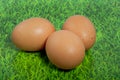 Three brown eggs on a green lawn Royalty Free Stock Photo