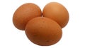 Three brown eggs isolated on white background. Clipping path included. Royalty Free Stock Photo