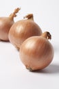 Three brown onions on white background Royalty Free Stock Photo