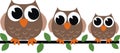 Three brown owls Royalty Free Stock Photo