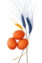 Three brown or red eggs and decorative wheat ears white background isolated