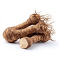 Three Brown Root Vegetables with Fibrous Ends on White Background Royalty Free Stock Photo