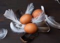 Three brown whole chicken eggs in the middle of white feathers Royalty Free Stock Photo