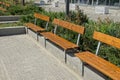 Three brown wooden benches on the sidewalk of green bushes and grass in the city park Royalty Free Stock Photo