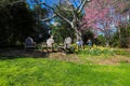 Three brown wooden chairs surrounded by lush green grass, yellow, orange and white daffodils, pink trees, bare winter trees