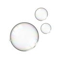 Three bubbles isolated on white background Royalty Free Stock Photo
