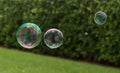 Three bubbles with reflection