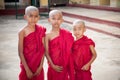Three buddhist apprentices, Myanmar