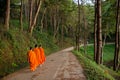 three buddhist monks