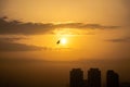 A flying bird next to the rising sun Royalty Free Stock Photo