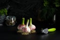 Three bulbs of young garlic and chrome green garlic press