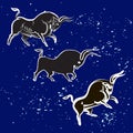 Three bulls silhouettes on dark sky background Royalty Free Stock Photo