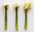 Three bunches of flowers from above Royalty Free Stock Photo