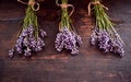 Three bunches of fresh fragrant lavender Royalty Free Stock Photo