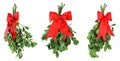 Three bunches of fresh green mistletoe tied with bright red Christmas bows. Isolated on white Royalty Free Stock Photo
