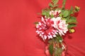 Three Burgundy and White Dahlia blossoms with buds and leaves in a glass pitcher