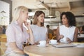 Three Businesswomen Meet In Coffee Shop Shot Through Window