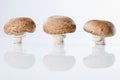 Three button mushrooms in a row