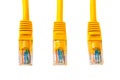 Three cable heads into head rj45 of an ethernet wire cable or yellow patch-cord with twisted pair.,network,RJ45,plug. Isolated.