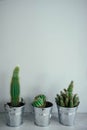 Three cacti in metal pots on a wooden table. Modern decor for ho