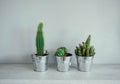 Three cacti in metal pots on a wooden table. Modern decor for ho