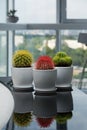 Three cactus on the table. House plants in the room. Modern interior. One red and two green cactus Royalty Free Stock Photo