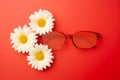Three camomile flowers and sunglasses on a red background Royalty Free Stock Photo