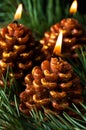 Three candles like pine cones