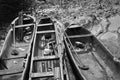 Three canoe halted at the banks of river during low tide