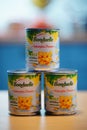 Three cans of Bonduelle brand sweet corn on a wooden table.