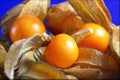 Three Cape gooseberry or physalis fruit photograph