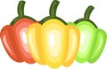 Three Capsicums vector color illustration
