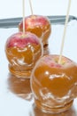 Three caramel apples Royalty Free Stock Photo