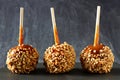 Three caramel apples with nuts against slate Royalty Free Stock Photo